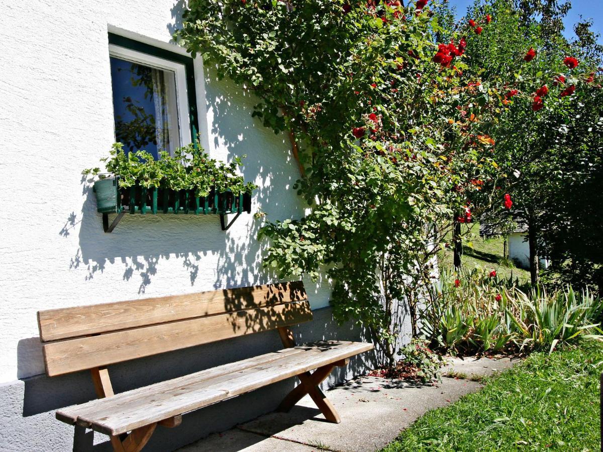 Holiday Home Oberhaslach By Interhome Abtenau Ngoại thất bức ảnh