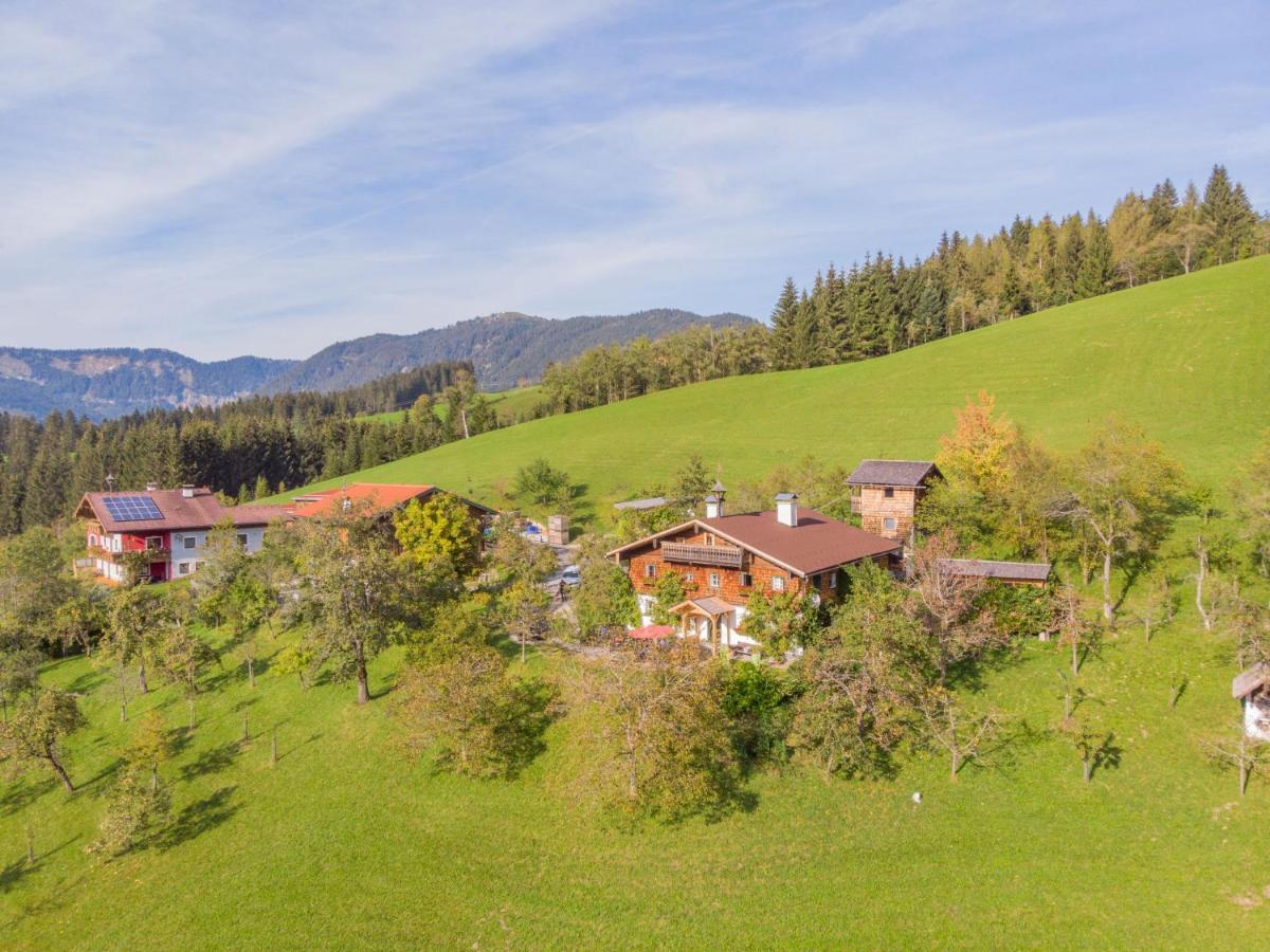Holiday Home Oberhaslach By Interhome Abtenau Ngoại thất bức ảnh