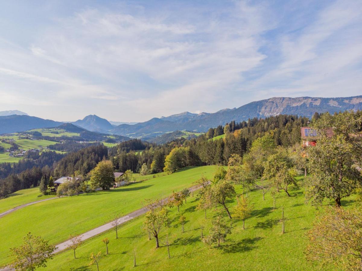 Holiday Home Oberhaslach By Interhome Abtenau Ngoại thất bức ảnh