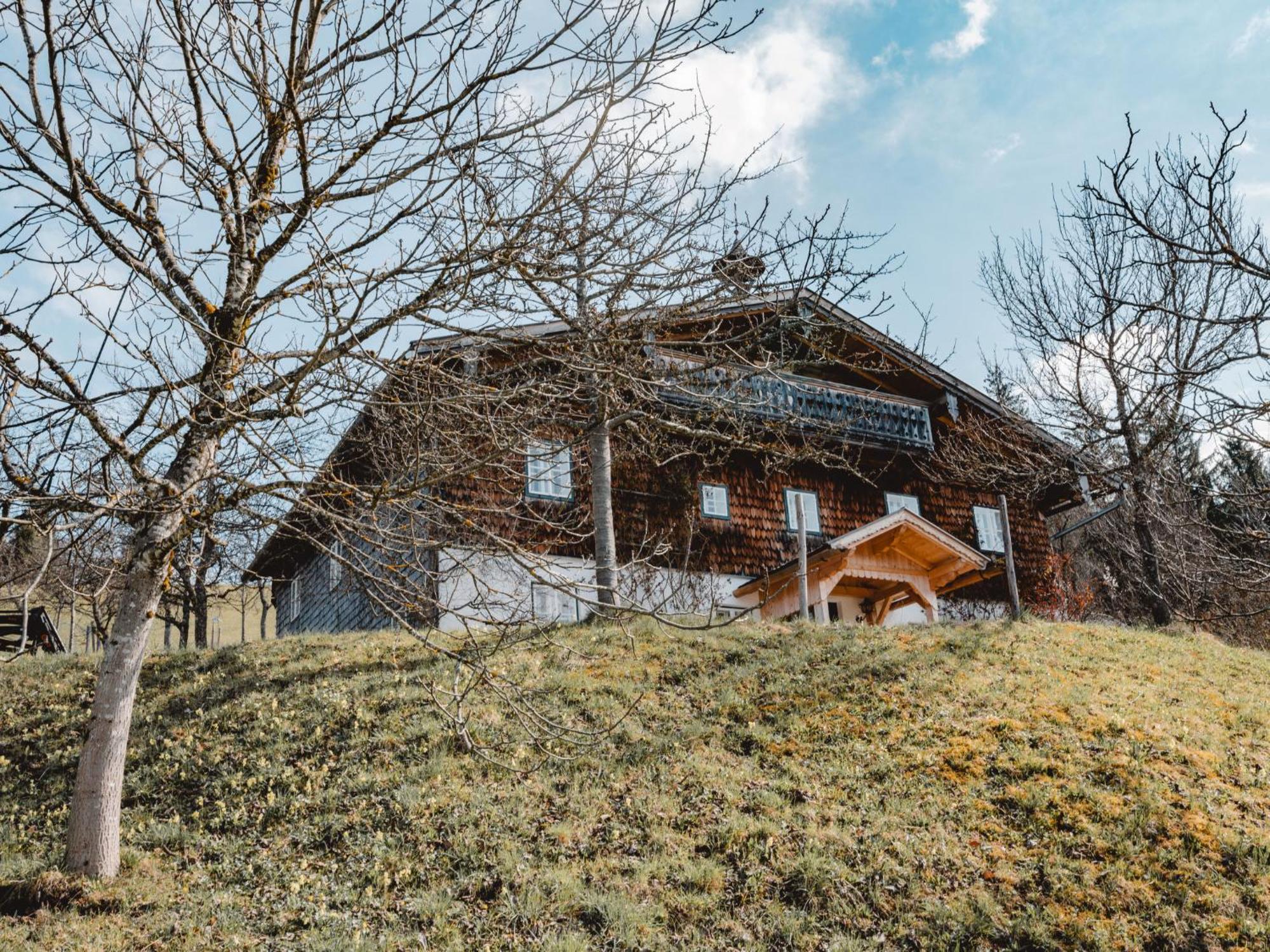 Holiday Home Oberhaslach By Interhome Abtenau Ngoại thất bức ảnh